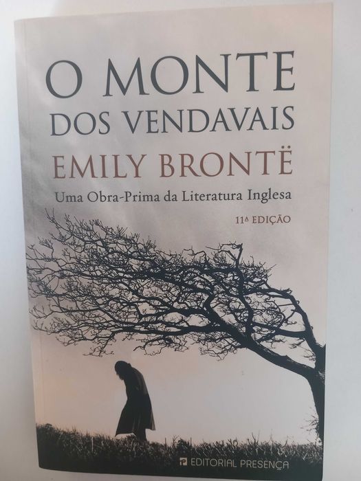 O monte dos vendavais - Emily Brontë