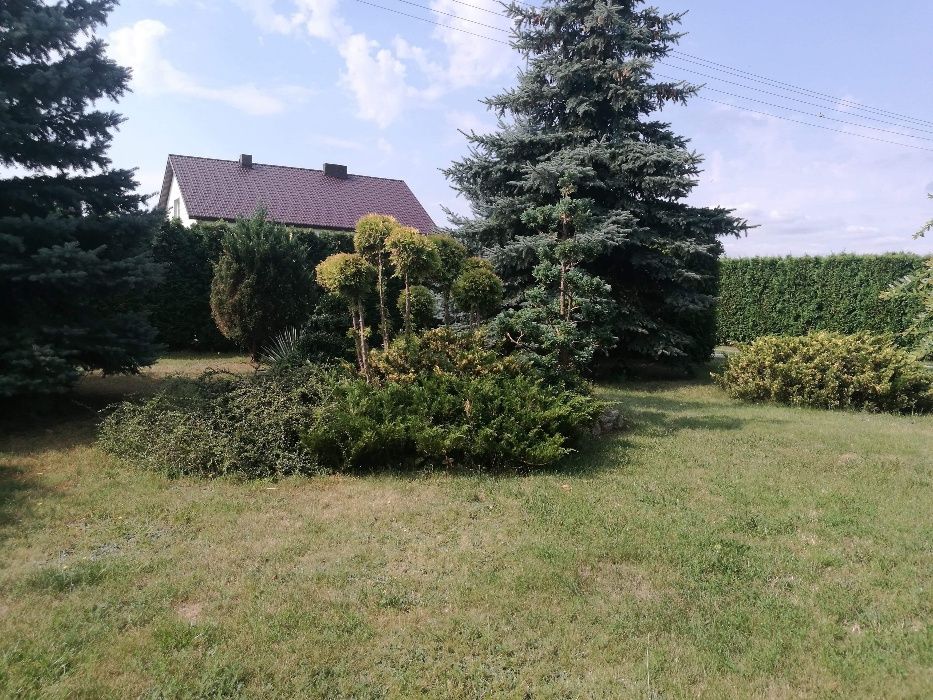 Dom do wynajęcia pracownicy miłe widziani