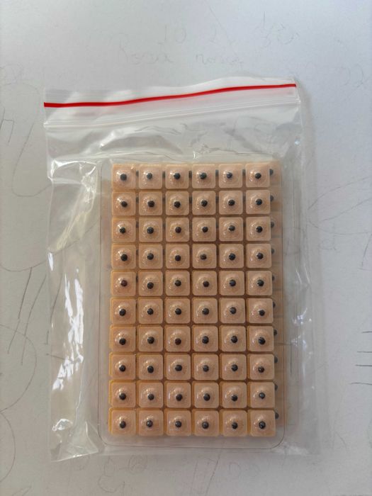 Pack Acupuntura-Auriculoterapia - Agulha - Pyonex - Semente Mostarda