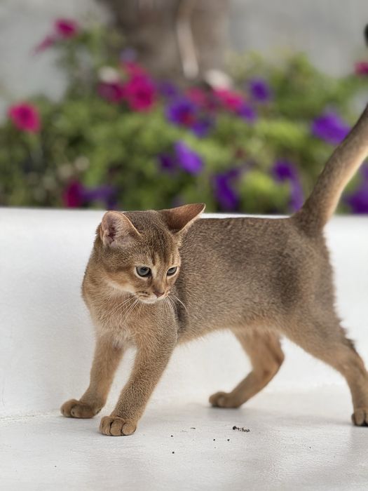 Найніжніший хлопчик чекає на улюблену родину