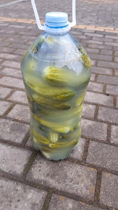 Kiszone ogórki 5l.