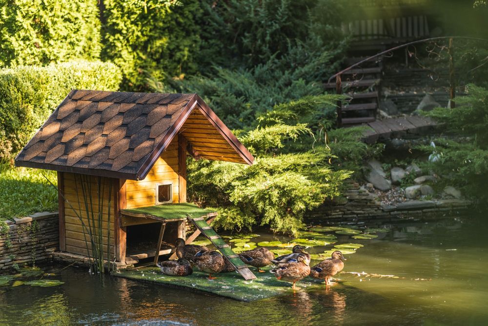 Світло завжди !! Бассейн, чан, баня, река, сапы, каяки,бильярд