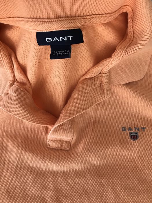 Polo gant 9 anos