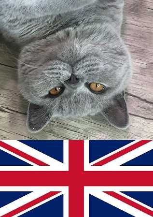 angielski konwersacje korepetycje online - ostatnie terminy