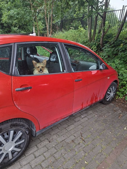 Sprzedam seat altea
