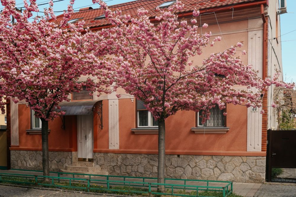 Однокомнатная квартира в центре с баней свет 24/7