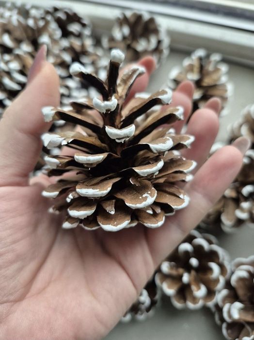 Шишки декоративні, новорічні