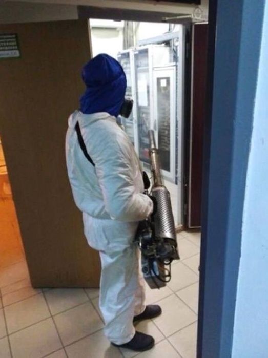 Травля тараканов клопов крыс Устранение грибка и плесени