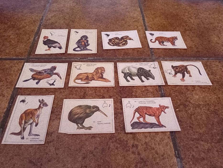 Cromos/autocolantes animais, antigos e raros