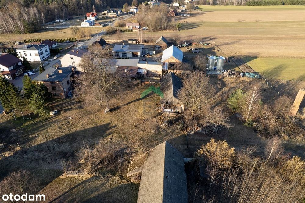 Działka blisko lasu - View 4