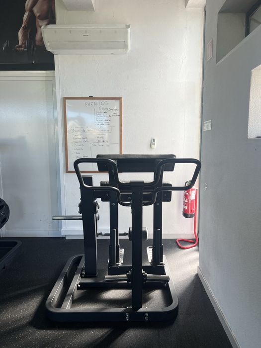 Standing Leg Curl ELLIPSE