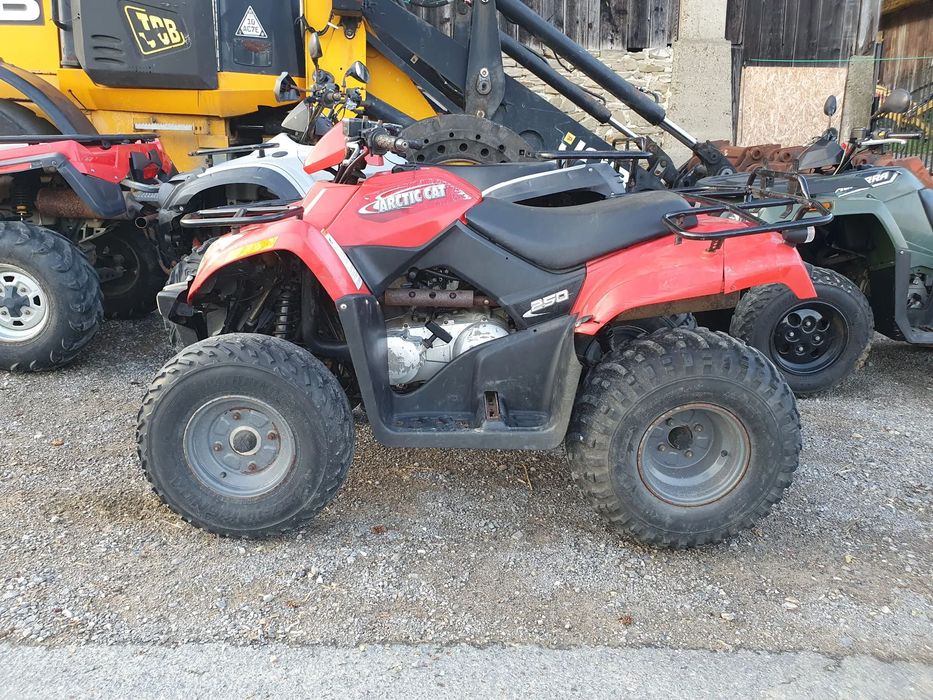 Arctic Cat