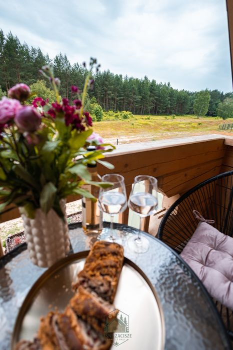 Domek na wynajem Leśne Zacisze 2 Radawa