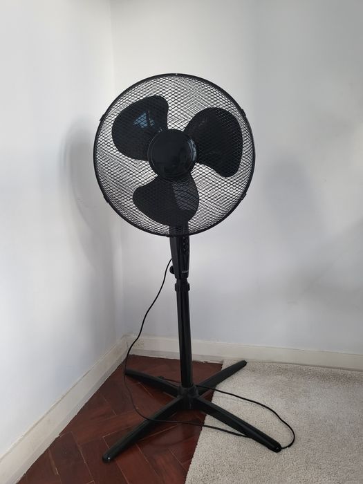 Ventoinha de Pé Preta
