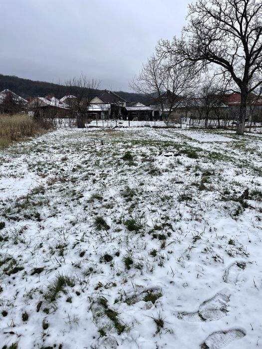 Будинок та 8 сотин землі