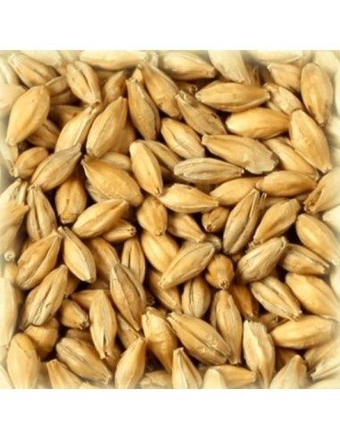 Продам Солод Базовый Подходит Как Пиво Так Под Дистилляцию Есть Помол!