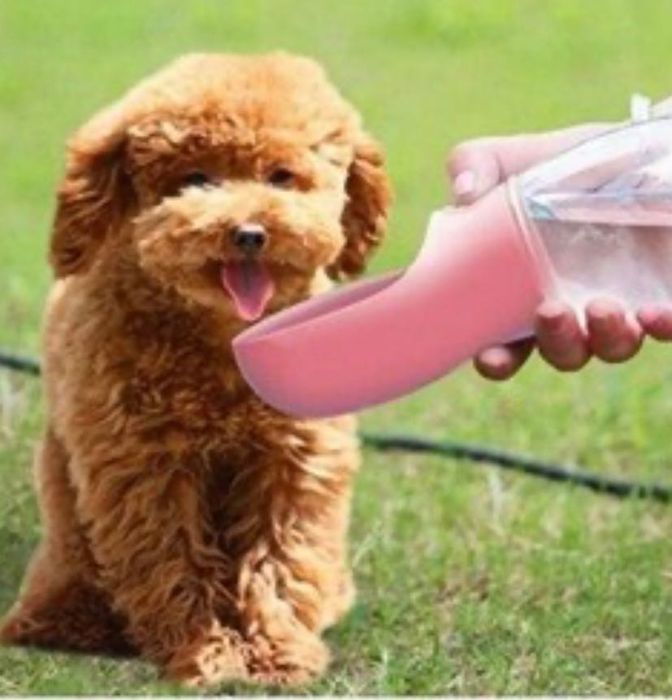 Поїлка дорожня для тварин petkup