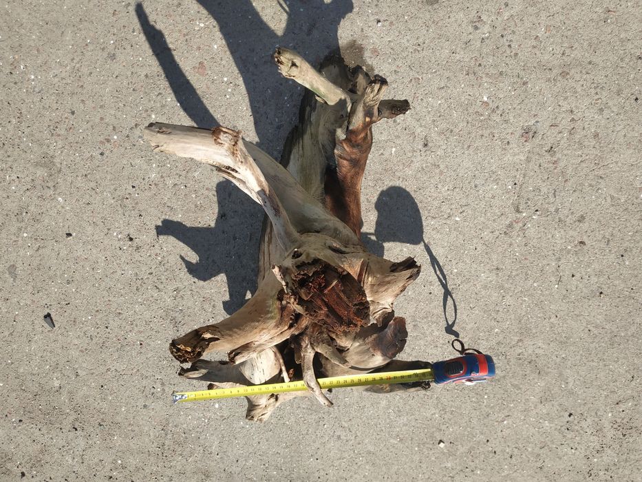 Корч  в  акваріум