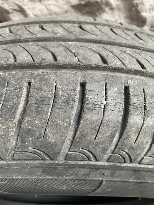 Шини Hankook Optimo 4S Літо 175/70 R14