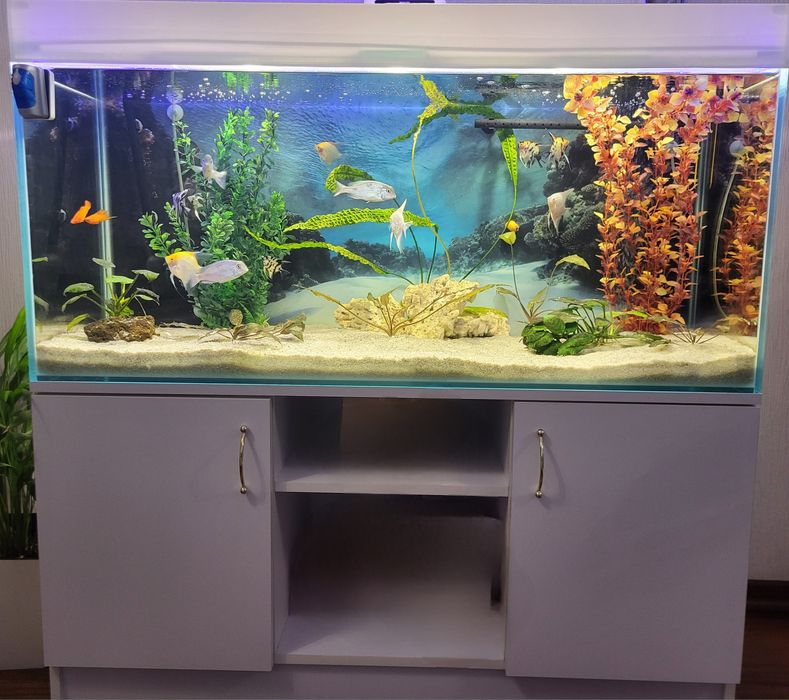 Виготовлення акваріумів