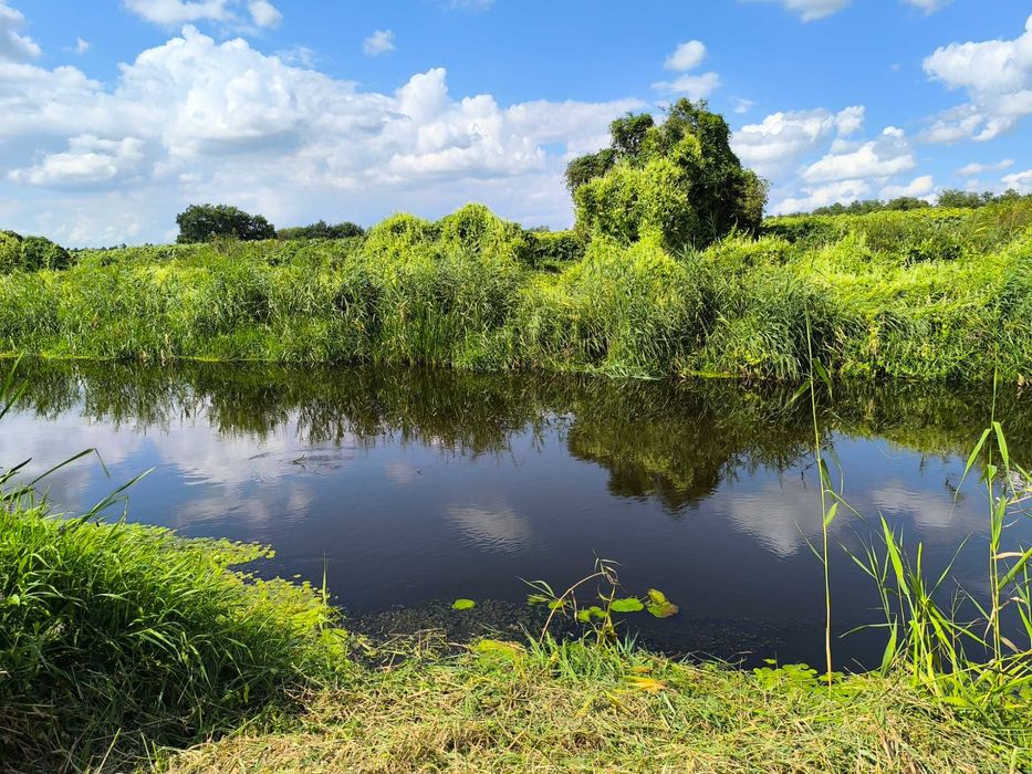 Domki letniskowe z sauną i balią, wieś na Mazowszu 100 km od Warszawy