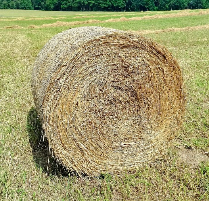 Sprzedam siano z traw sianych