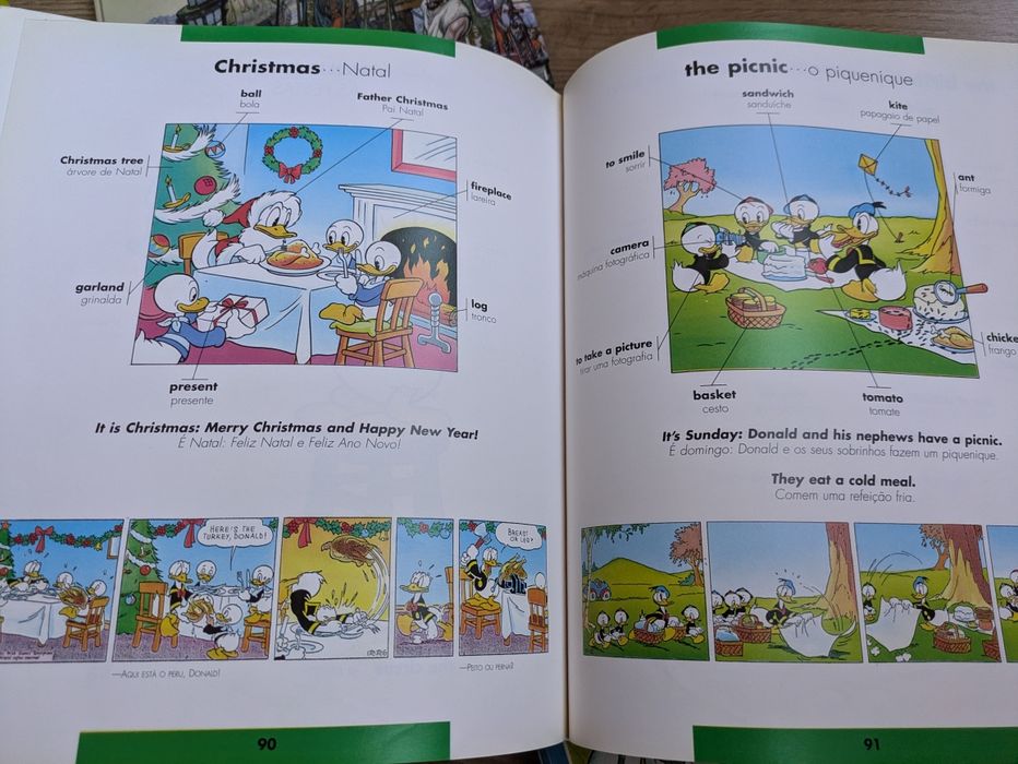 Dicionário Ilustrado Inglês Português