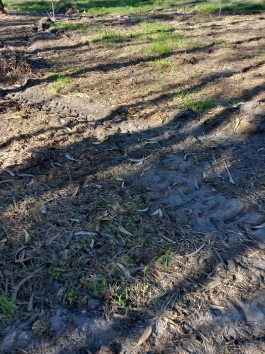 Limpeza de mato e serviços de jardinagem