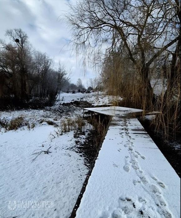 Ділянка на березі озера 24с Цвіжин