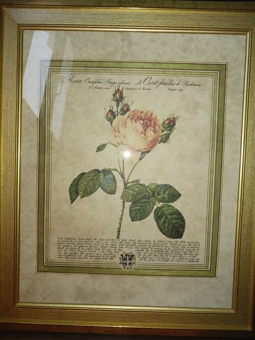 Quadro com gravura antiga