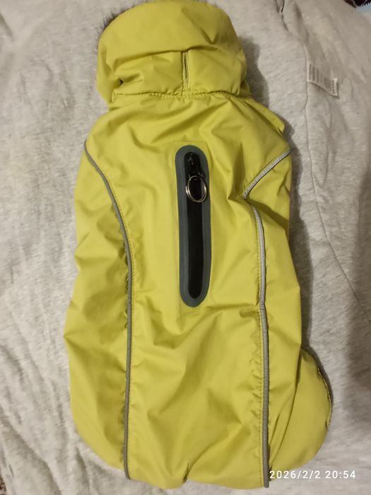 Обувь и желтки, и толстовка