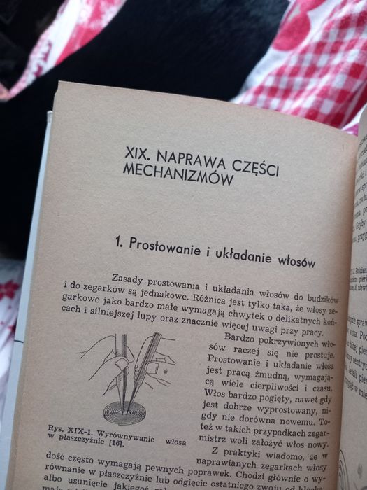 Bartnik, Podwapiński Technologia mechanizmów zegarowych.