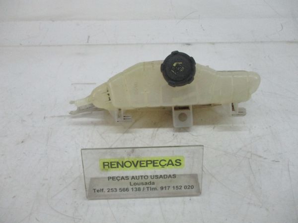 Vaso Expansao / Radiador RENAULT Clio III (BR0/1, CR0/1)