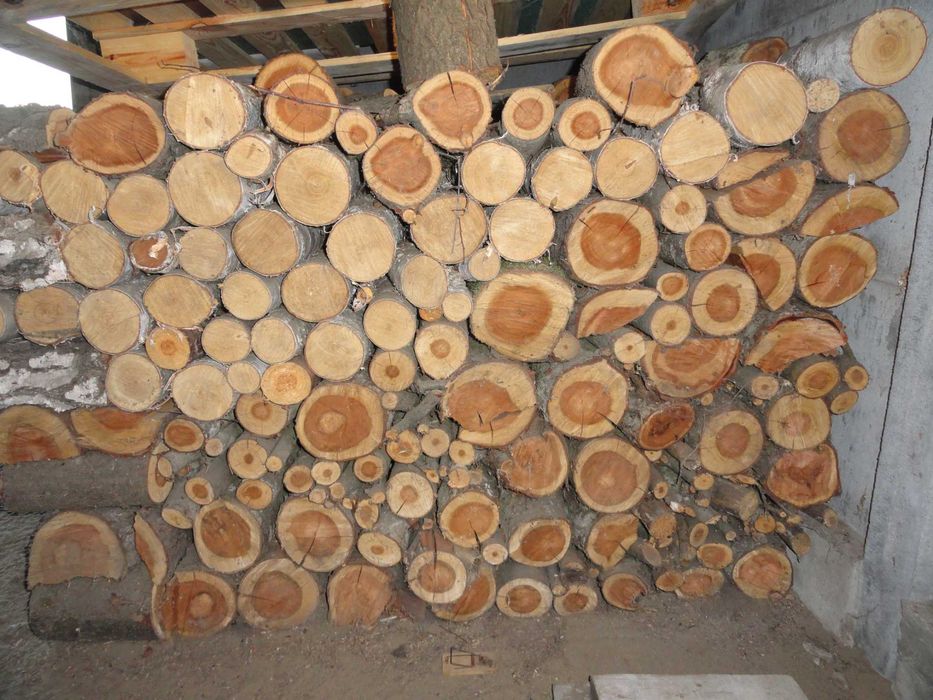 Drzewo opałowe brzoza,czeremcha,suche 2 letnie