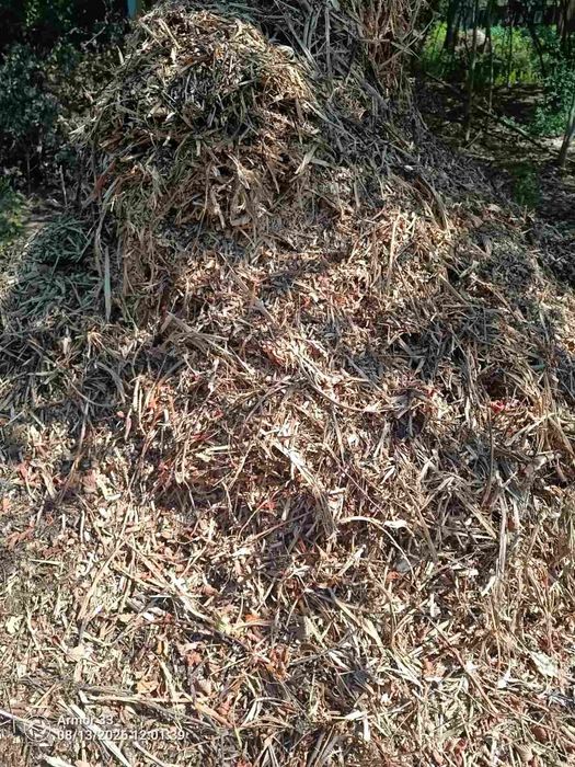 Продам тирсу фракція як на фото. Об'єми