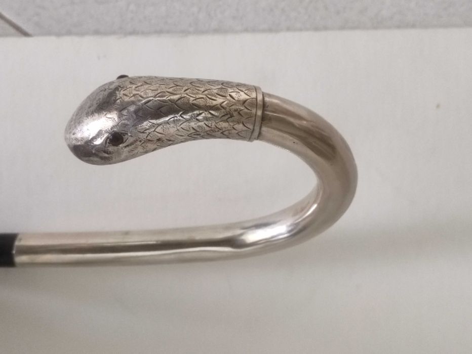 Bengala - Prata, Madeira