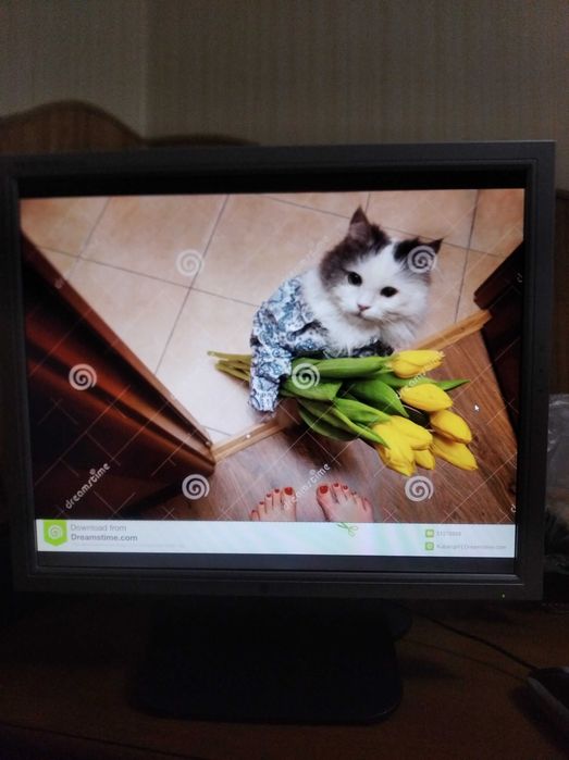 Монітор LG Flatron  lcd 19 дюймів