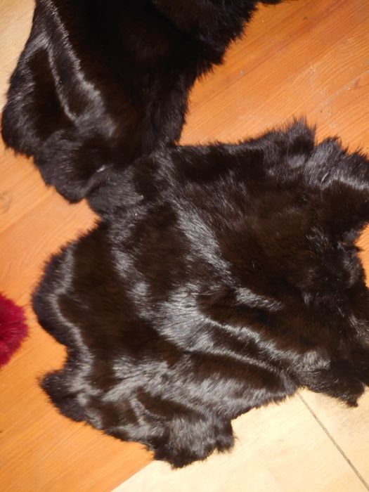 Sprzedam 5 szt. skóry z królika czarne, rude i bordowe