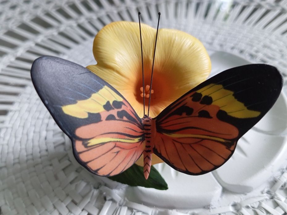 Porcelanowy motyl Franklin
