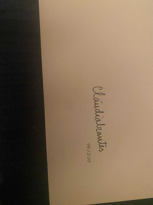 serigrafia sardinha de claudia abrantes