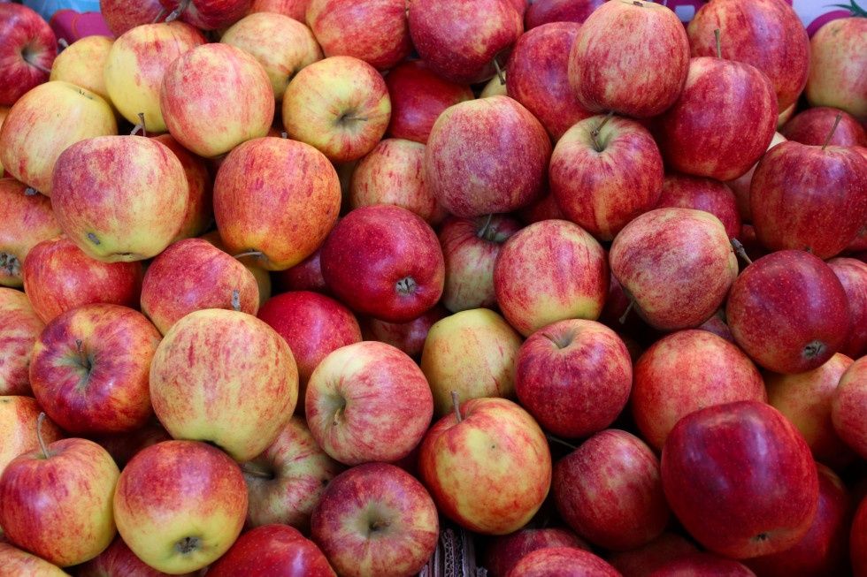Jabłka ekologiczne różne rodzaje