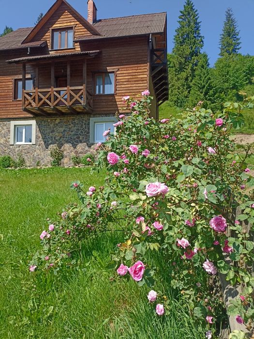 Відпочинок в Славське "Котедж Аліна"