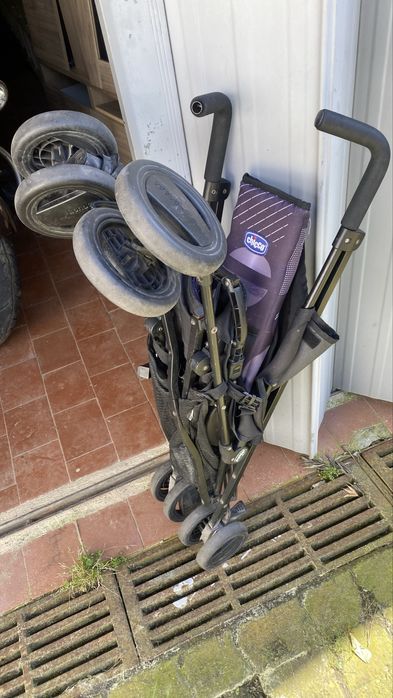 Carinho chicoo criança