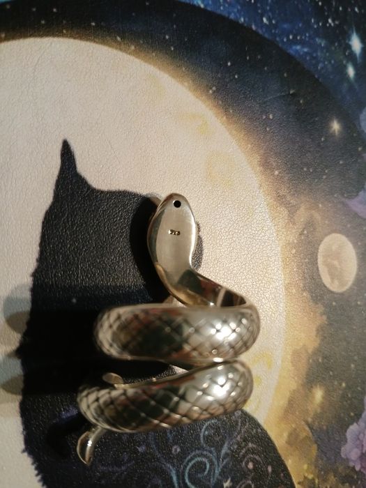 Anel serpente em prata 925