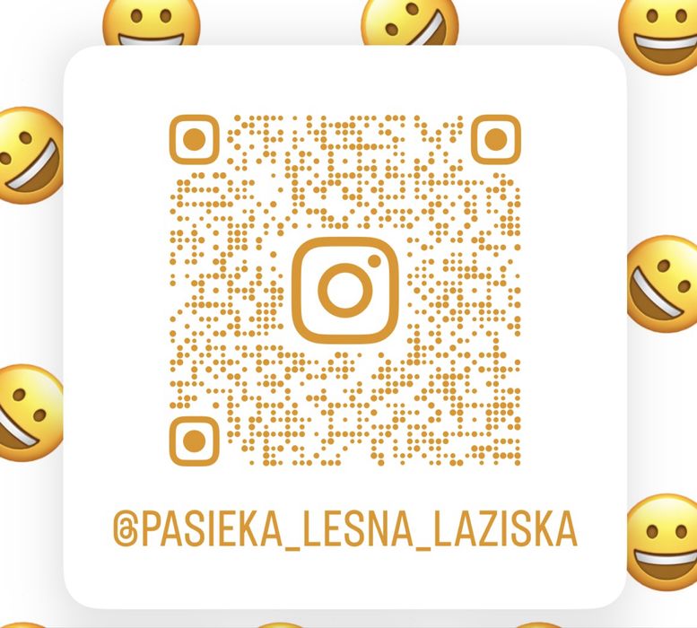 Miód na sprzedaż, ceny podane w opisie