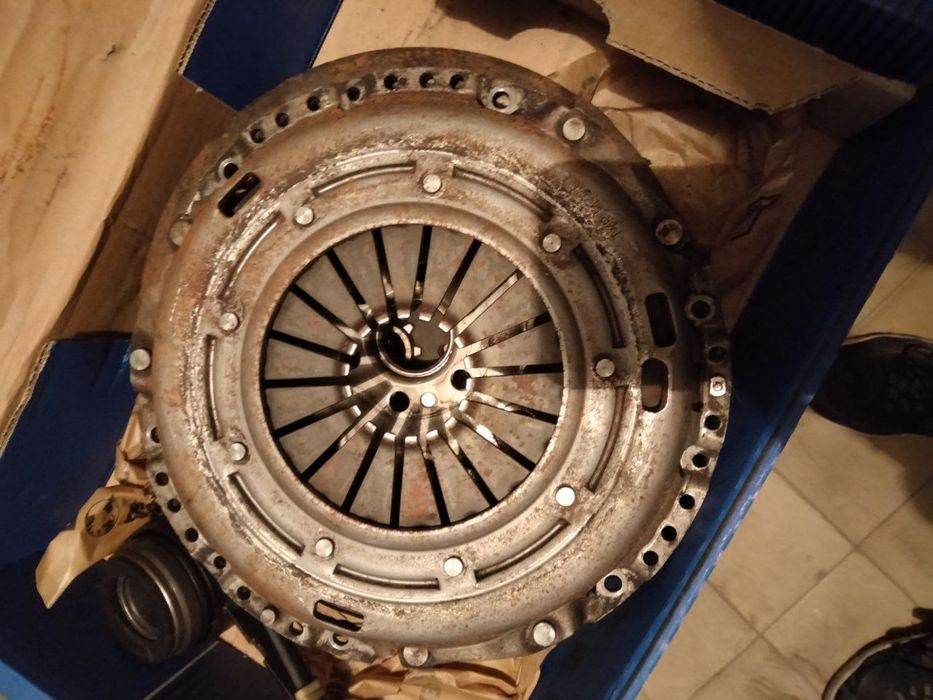 Продам щеплення Sachs