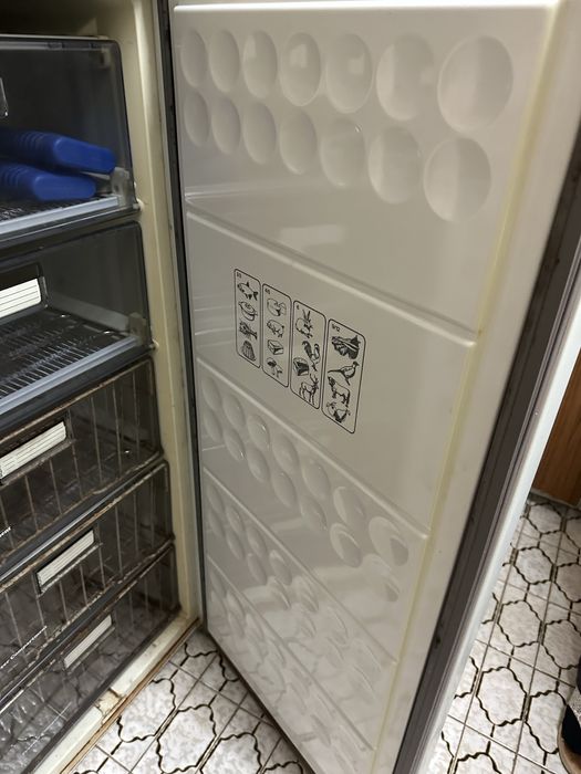 Arca congeladora vertical