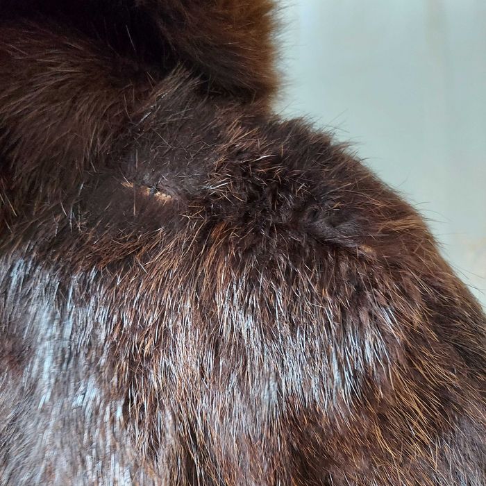 Шуба ондатра та песець - б/у або на перешив/сировину