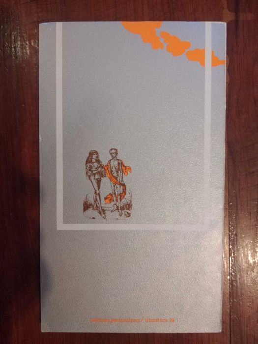 Frei Simão António de Santa Catarina - Novela despropositada