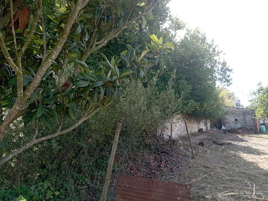 Casa de campo em ruína com terreno